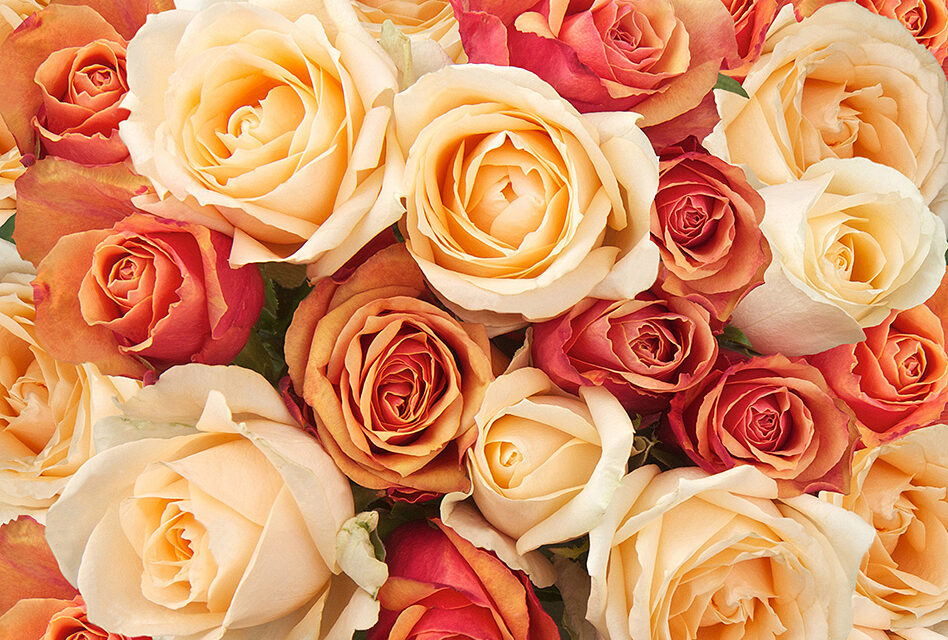 Beautiful Bouquets