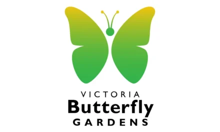 Victoria Butterfly Gardens Rallies Support For Colombian Butterfly Farming Partner Following Devastating Earthquake