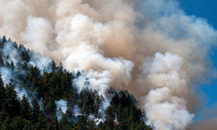 Wildfires Drag Down Interior B.C. Real Estate Market in August