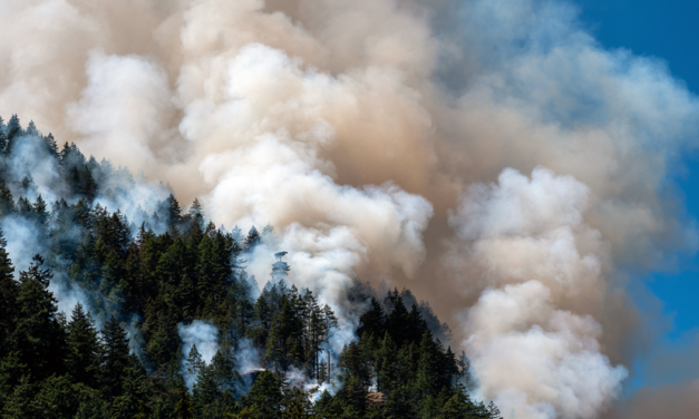 Wildfires Drag Down Interior B.C. Real Estate Market in August