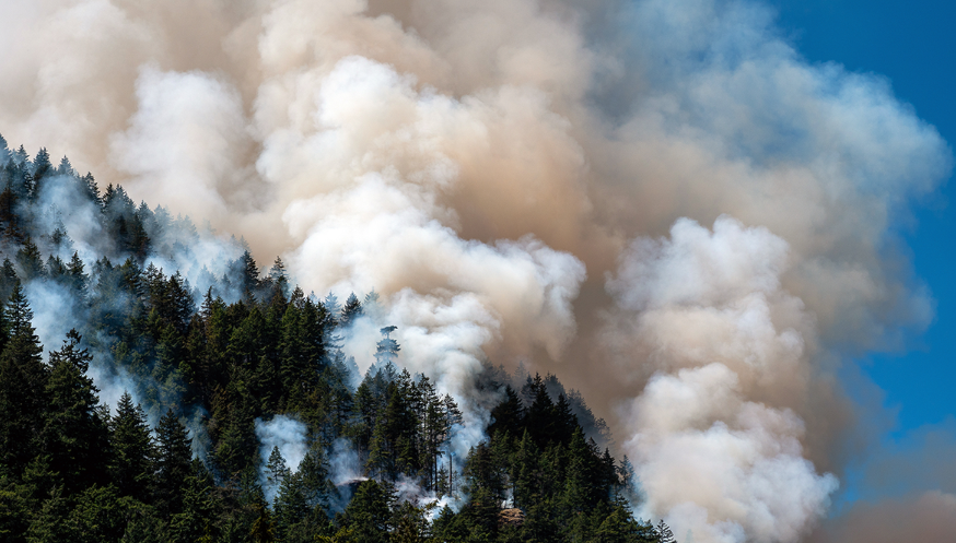 Wildfires Drag Down Interior B.C. Real Estate Market in August