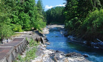 Lake Cowichan Buys Land to Expand Sewage Lagoons, Prevent Future Fish Die-Offs