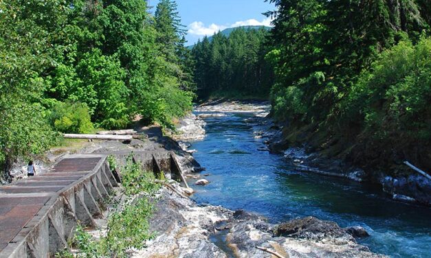 Lake Cowichan Buys Land to Expand Sewage Lagoons, Prevent Future Fish Die-Offs