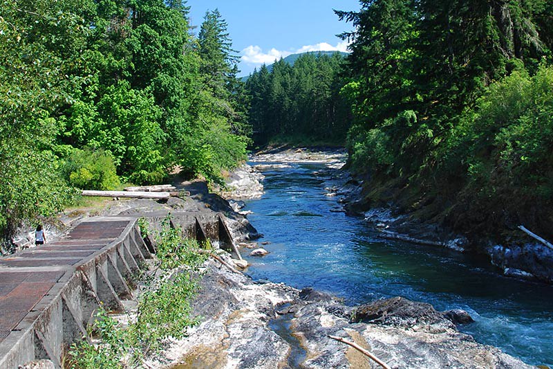 Lake Cowichan Buys Land to Expand Sewage Lagoons, Prevent Future Fish Die-Offs